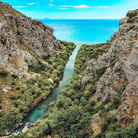 Irida Luxury Apartment in Plakias Bagian luar foto